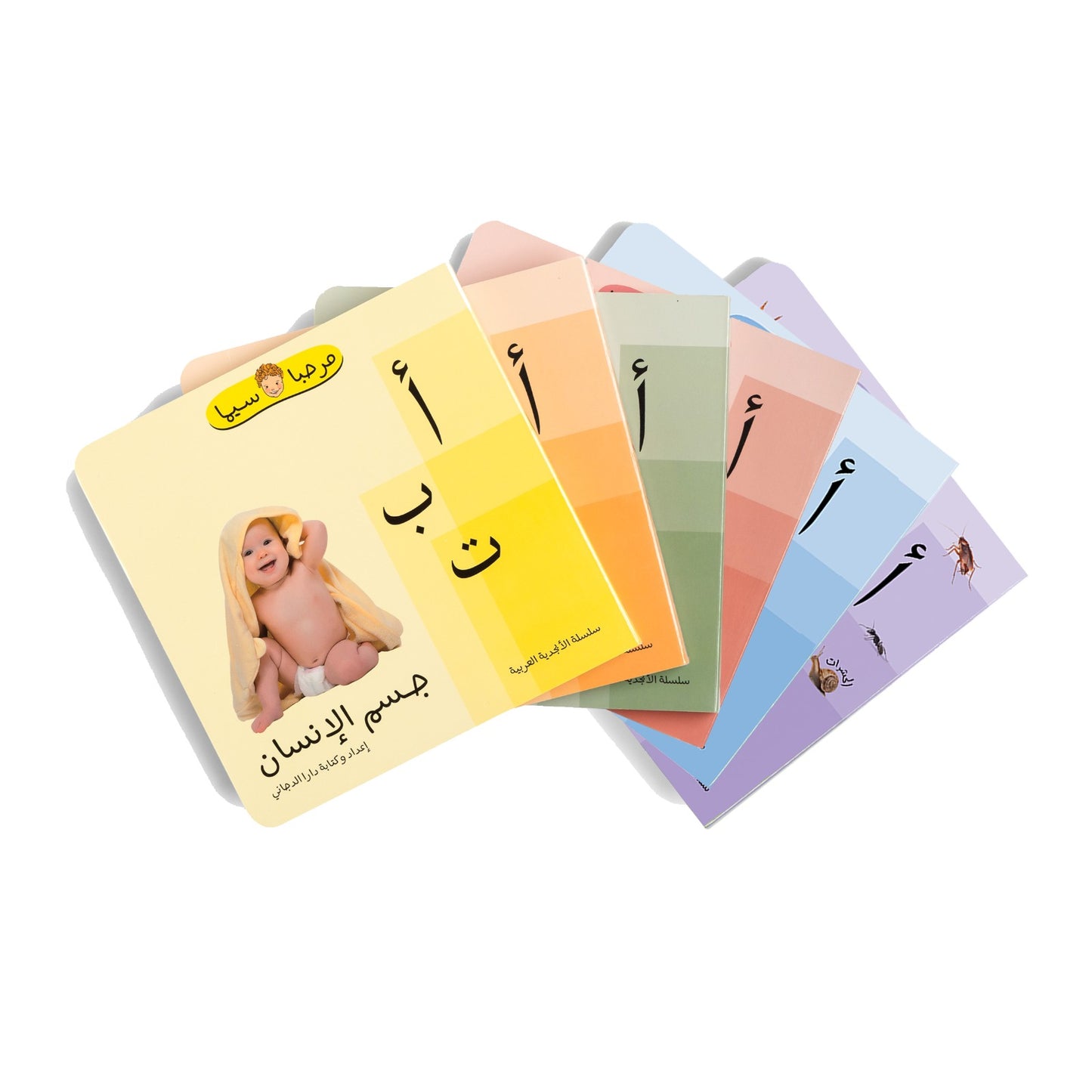 Alphabets Bundle x6 (مجموعة الأبجدية)