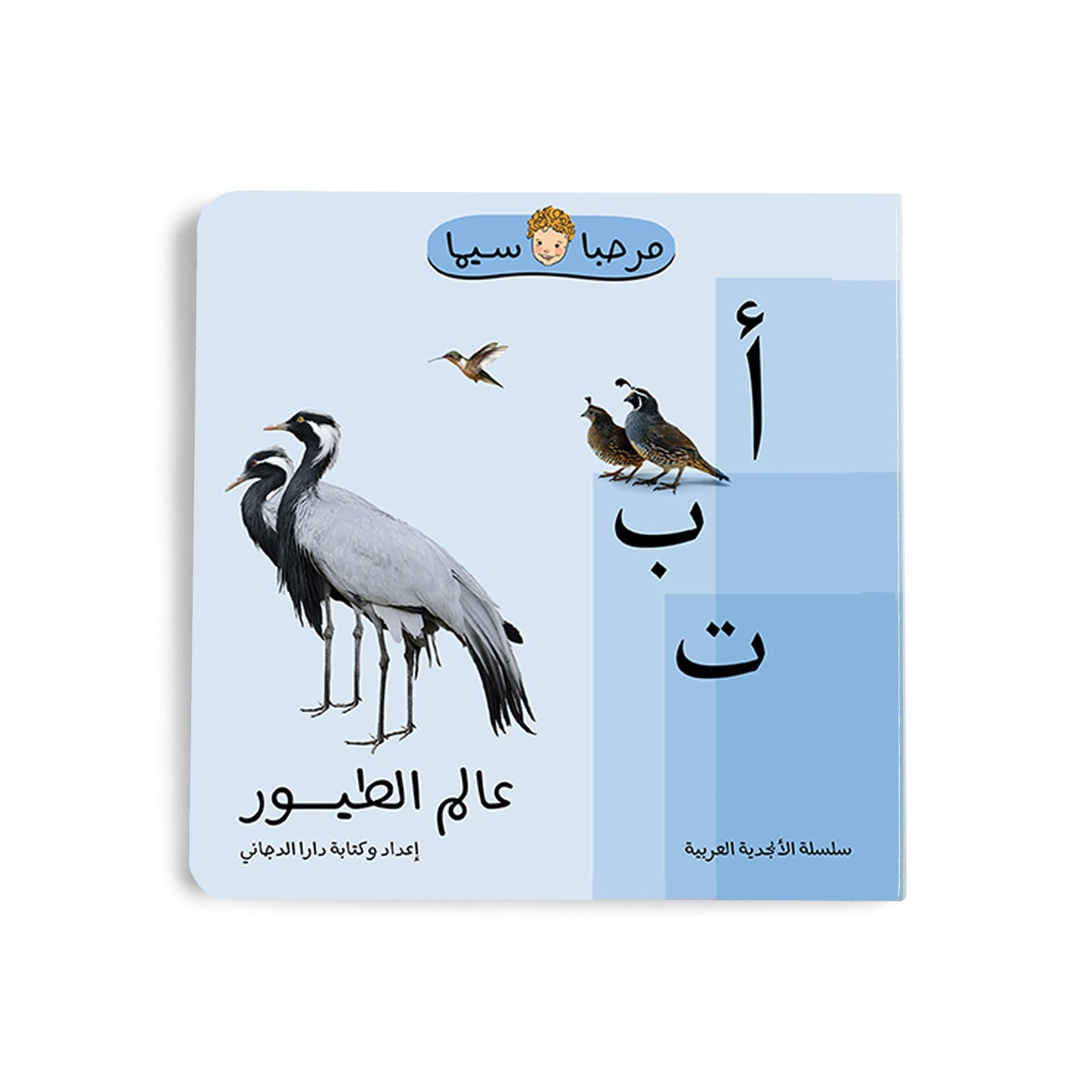 Alphabets Bundle x6 (مجموعة الأبجدية)