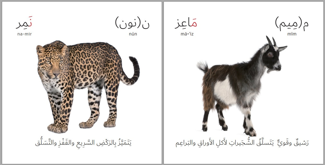 Arabic Children's Books, Animals, Details