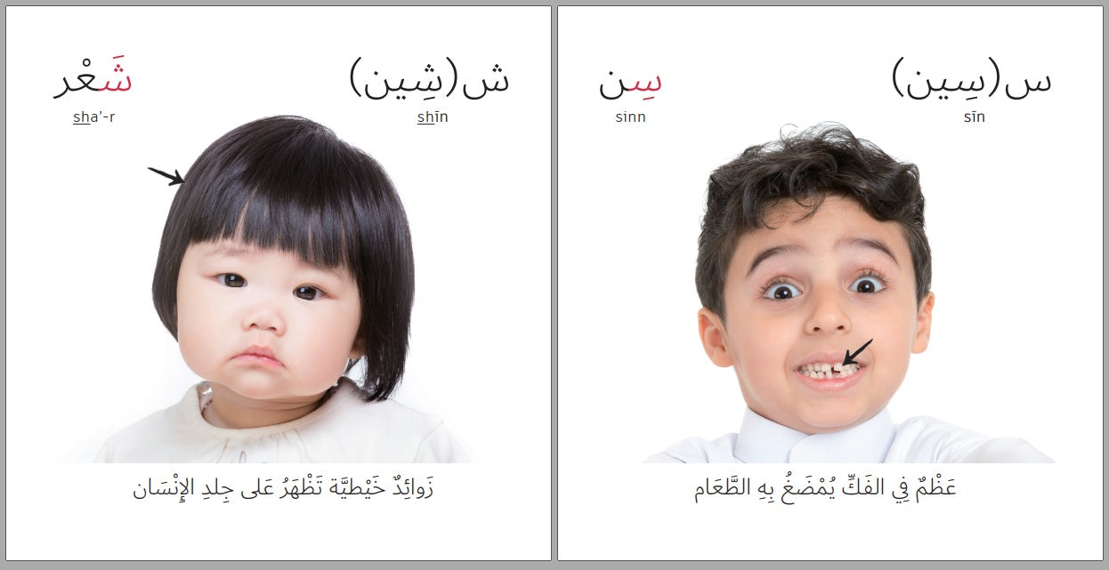 arabic childrens books, The Human Body - Details